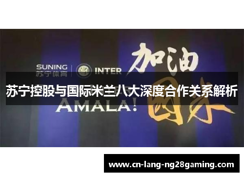 苏宁控股与国际米兰八大深度合作关系解析 苏宁控股与国际米兰八大深度合作关系解析