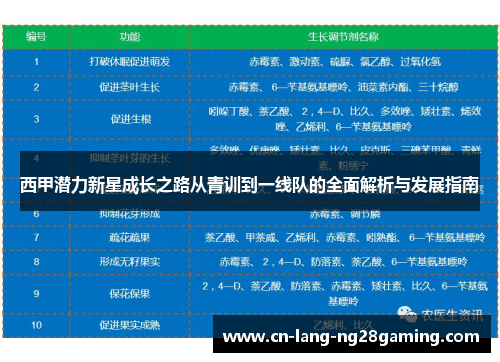 西甲潜力新星成长之路从青训到一线队的全面解析与发展指南
