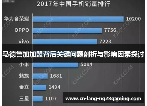 马德鲁加加盟背后关键问题剖析与影响因素探讨