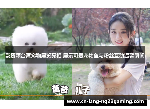 戴资颖台湾宠物展览亮相 展示可爱宠物鱼与粉丝互动温馨瞬间