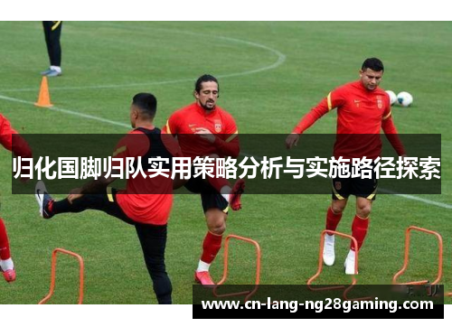 归化国脚归队实用策略分析与实施路径探索