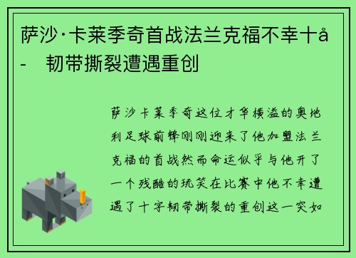 萨沙·卡莱季奇首战法兰克福不幸十字韧带撕裂遭遇重创 萨沙·卡莱季奇首战法兰克福不幸十字韧带撕裂遭遇重创